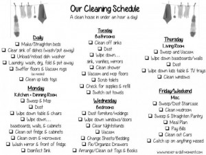 60mins a day to a clean house via @J O Krueger a Dull Moment #cleaning ...