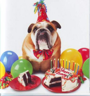 Birthday Dog Pictures, Images & Photos