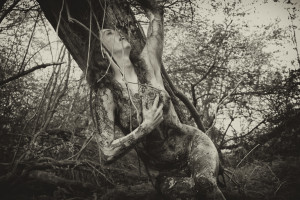 Wild Women of the Woods’