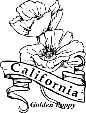 northern california google search california states symbols california ...