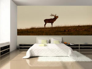 Published June 30, 2013 in Wall Mural for Bedroom . ← Previous