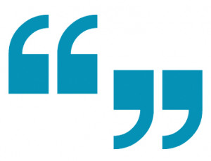 Voice of the Customer