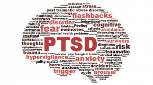 Americans have been diagnosed with Post Traumatic Stress Disorder ...