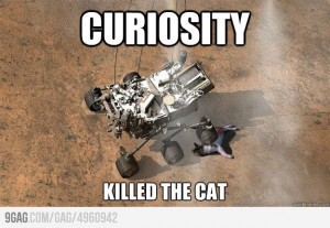 Curiosity Killed The Cat Meme