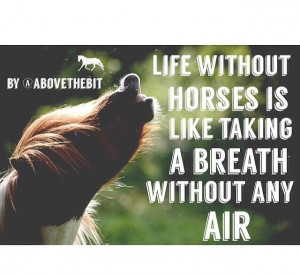Can't breathe without horses