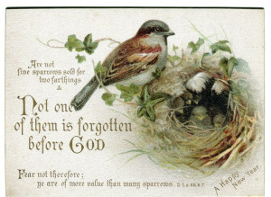 ... Religious Card:New Year Greetings Scripture Quotes +Sparrow & Chicks