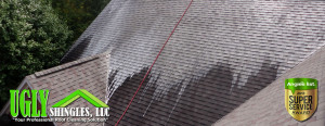 ... in Your Area Start A Soft-Wash Roof and Exterior Cleaning Business