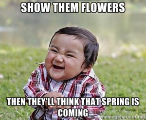 Evil Plan Baby - Show them flowers then they'll think that spring is ...
