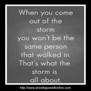 Storm's of life