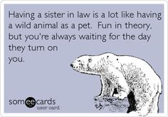 Having a sister in law is a lot like having a wild animal as a pet ...
