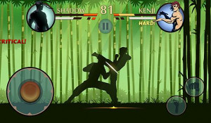 Deadly Mira Ninja Fighting