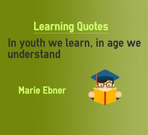 Learning Quotes In youth we learn in age we understand