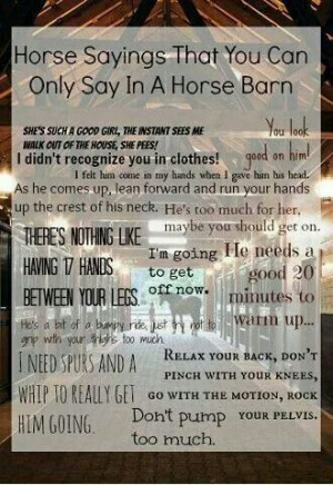 Things only horse people can say!