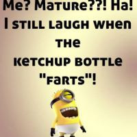 Top 40 Funniest Minions Pics and Memes