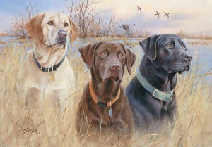 Great Hunting Dogs Picture