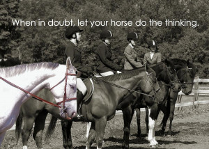 Horse Sense Quote Photograph