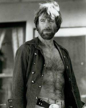 Related Pictures image search chuck norris jokes