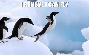Penguins Funny MEME and Funny GIF from GIFSec