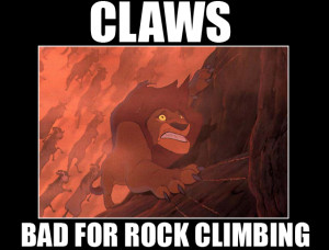 lion-king-quotes-mufasa-everything-the-light-touches-112.png