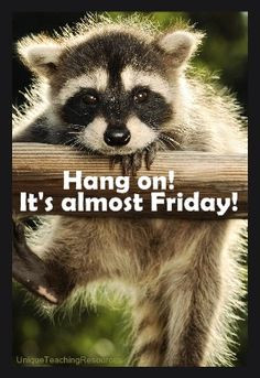 Hang on! It's almost Friday!