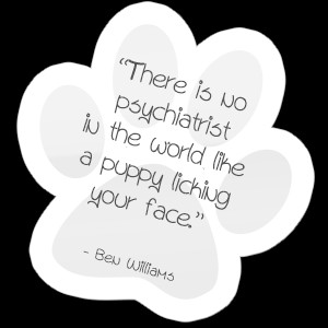 No pet owner ever wants to hear that their cherished companion needs ...