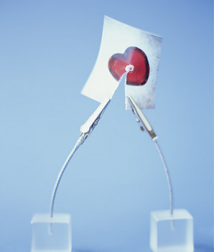 Tuesday, Feb. 08, 2011