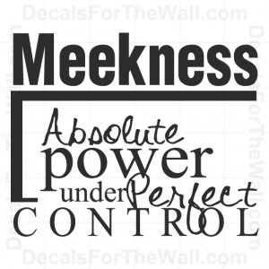 ... -Absolute-Power-Under-Perfect-Control-Vinyl-Wall-Decal-Art-Quote-R40