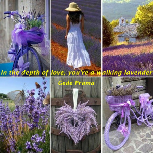In the depth of love, u're a walking lavender