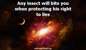Any insect will bite you when protecting his right to live - George ...