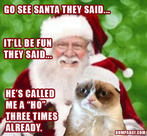 funny grumpy cat pictures , grumpy cat , Grumpy Cat Hates Christmas ...