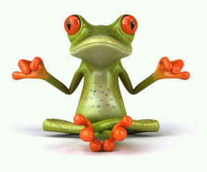 my favorite Zen Frog