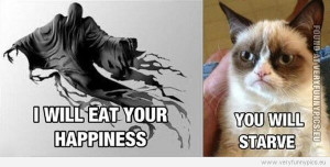 funny-picture-i-will-eat-your-happiness-you-will-starve-grumpy-cat.jpg