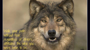 Wolf wisdom black wild animal pack the lone HD Wallpaper