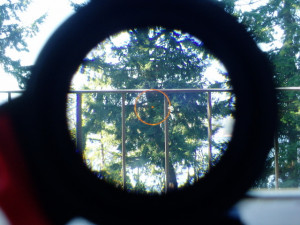 Leupold Mark 4 CQ T Reticle