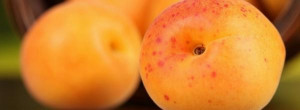 Apricots {a Facebook Timeline Cover Picture, a Facebook Timeline image ...