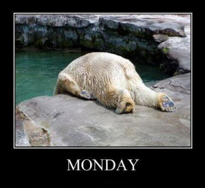 Funny Picture - I don't like Monday Polar Bear