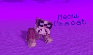 Famous Youtuber Quotes