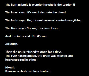 The Leader Of Human Body - Heart, Brain, Liver Or Anus - Funny Story