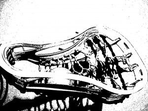 Lacrosse Stick Image