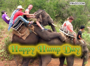 hump day funny quotes source http imgarcade com 1 funny hump day ...