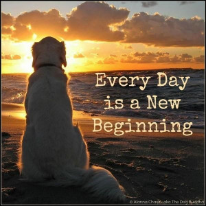 New beginning picture quotes image sayings