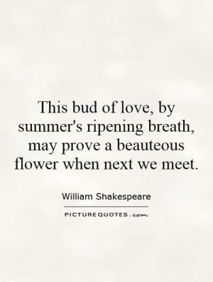 Love Quotes Summer Quotes William Shakespeare Quotes Flower Quotes