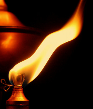 Outgoing Personality Quotes Quotes from the borderline