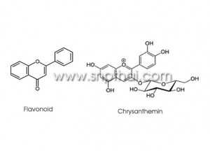 Active-Ingredients-of Chrysanthemum Extract, Chrysanthemum ...