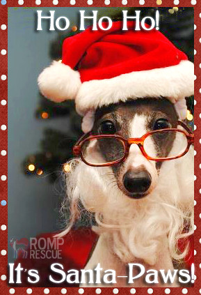 Dog Christmas Card Sayings, pet christmas card sayings, pet card ...