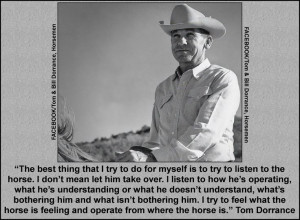 Pinned by Jane Woodhead