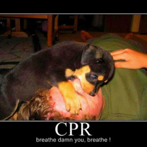 cpr #emt #firefighter #ems