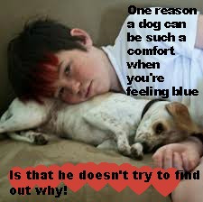 One reason a dog can be such a comfort when you’re feeling blue is ...