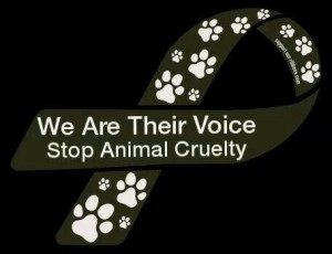 Stop animal cruelty