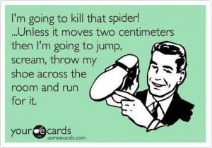 Along came a spider...